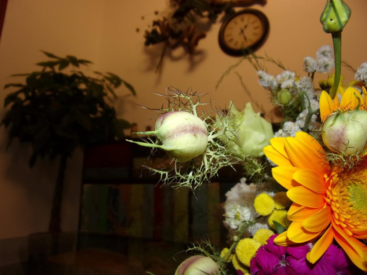 La Fontanella Bed and Breakfast Lecce Buitenkant foto